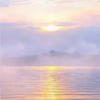 女人微信头像带来好运花朵风水好点击鼠标右键下载