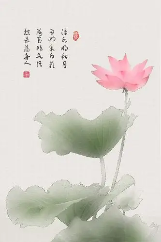 画意摄影《水墨荷花》