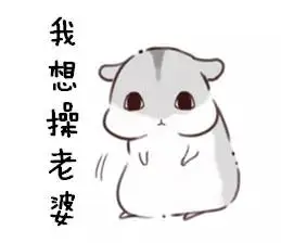 有一只叫做hamham仓鼠表情包老婆版打包下载