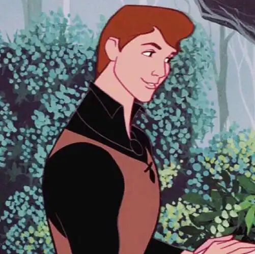 迪士尼公主 睡美人 王子 情头