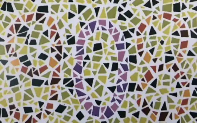 考驾照的6张色盲检测图,如果看不清第4张上的蝴蝶,基本就是色盲