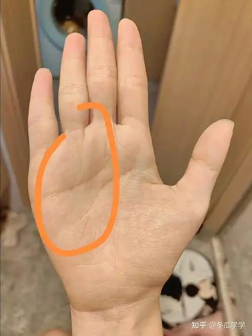 金星环,人漂亮,异性缘好,桃花旺的手相