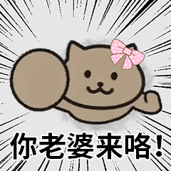 你老婆来咯(猫猫头表情包)_老婆_猫猫表情