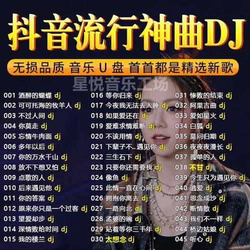 流行榜单dj精选无损歌曲mp3/4音乐优盘 16g抖音热歌dj榜-900首100视频