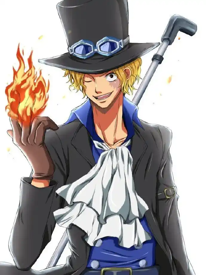 海贼王:火焰萨博