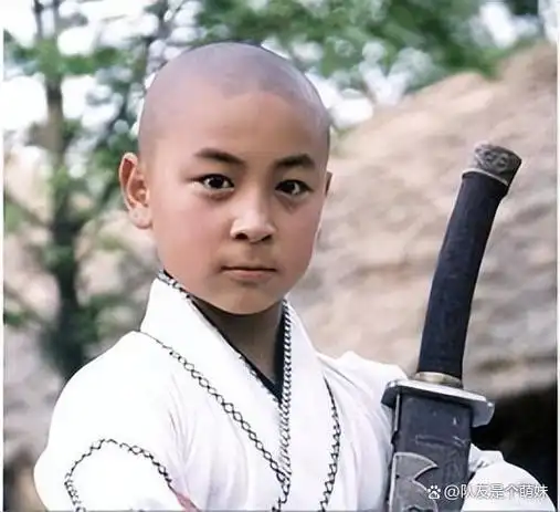 之后释小龙与林志颖出演的《笑林小子》搬上了荧幕,他也靠实力红遍了