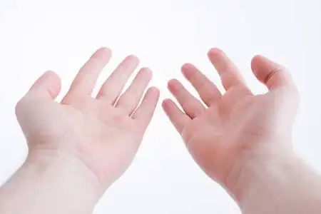 手掌放在种图片