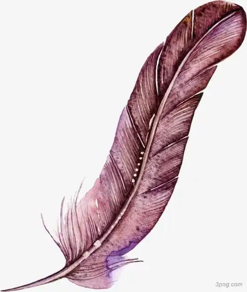 3png首页 免抠元素 装饰效果 手绘彩色水彩羽毛手绘彩色水彩羽毛png