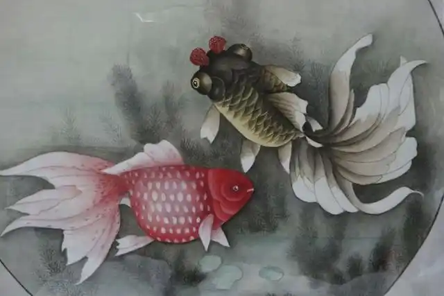 工笔金鱼的线描画法图例