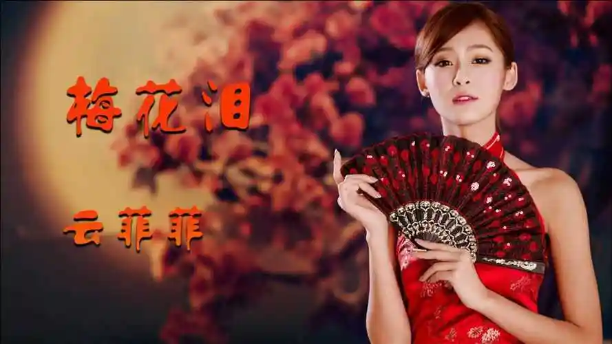 经典情歌《梅花泪》,云菲菲演唱