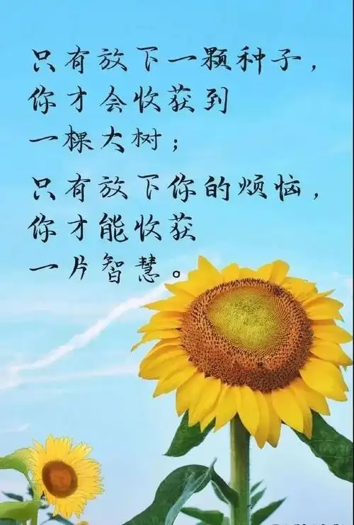 一句话说透人生1前一半人生,努力后明白自己只是个普通人后一半人生