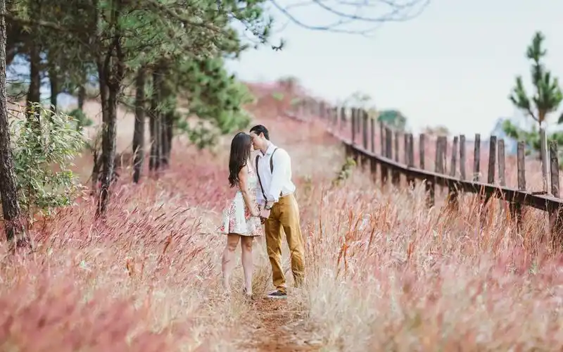 恋爱中的人是傻子