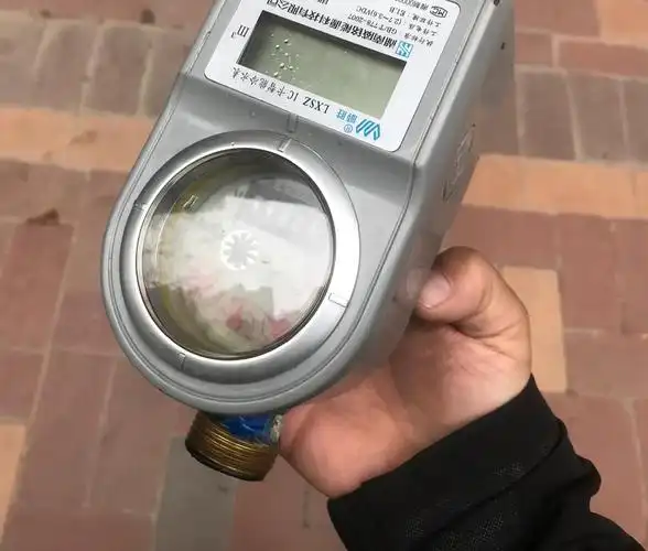 水表换电池怎么换 给水表更换电池 踩坑了 | 说明书网