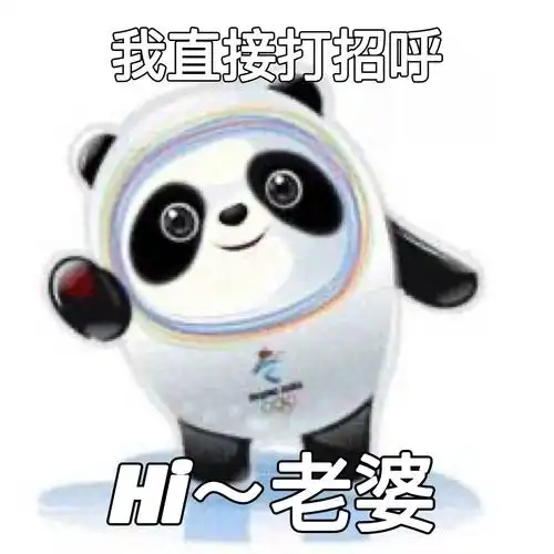 我直接打招呼h~老婆 - 冰墩墩表情包表情