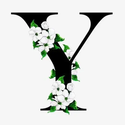 奢华大牌中国风花朵字母y装饰