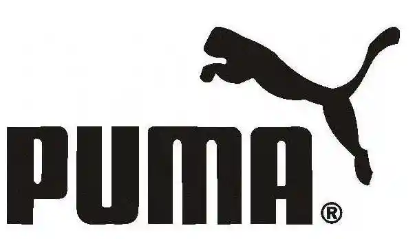 iso认证咨询公司- 供应彪马puma验厂咨询专业辅导培训机构