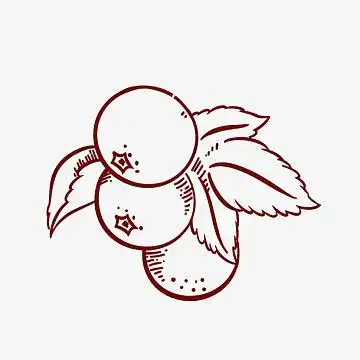 卡通手绘山楂(650x650)psdpng美味炸鸡简笔画(1000x1000)png卡通简约