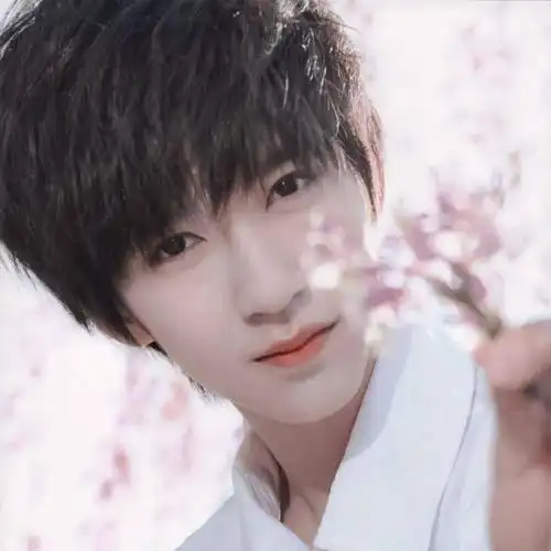 微信头像贺峻霖