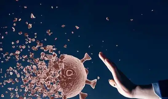 必须将其打疼|美国|日本|欧美|布林肯|伊朗召见中国大使_网易订阅