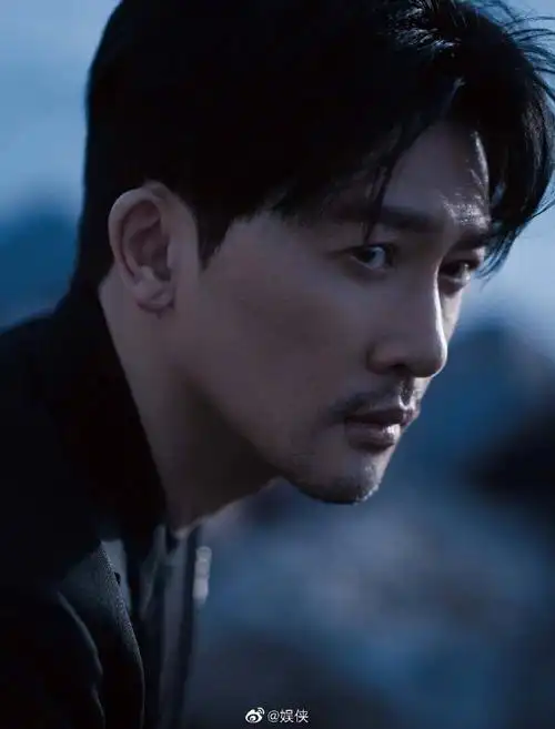 苏有朋留胡子了