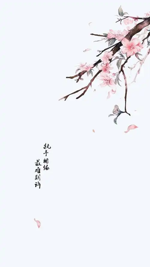 古风动漫唯美壁纸,伤感文字系列,很干净的壁纸,美炸了|壁纸|桃花雨