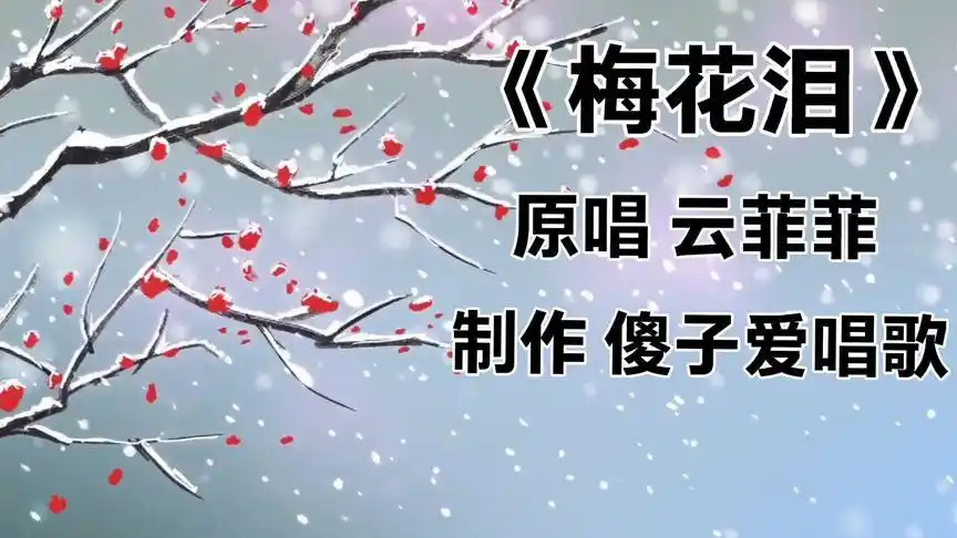 云菲菲原唱《梅花泪》经典 经曲 醉人醉心 百听不厌