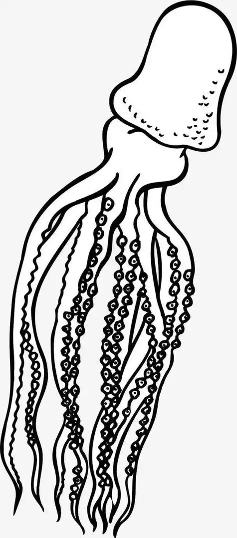章鱼画法简笔画 章鱼画法简笔画图片