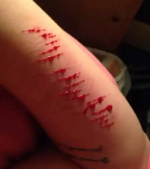 他能做的,就是拿出抽屉里的修眉刀,一下一下割在自己的手腕上.