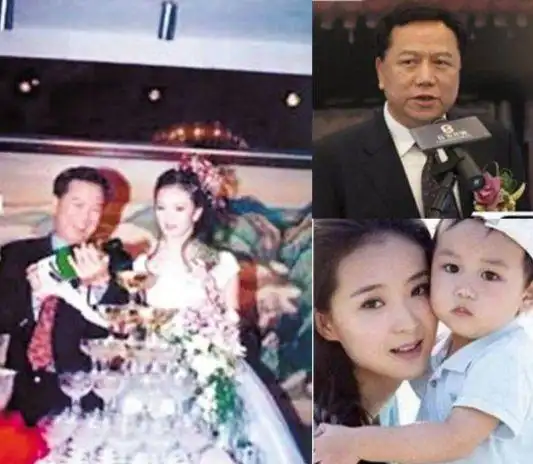 王艳上亿豪宅内景罕曝光顶楼花园大如足球场推开窗就能看故宫