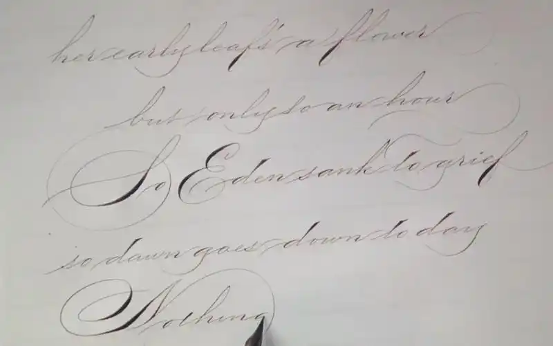 转自油管斯宾塞体书写欣赏