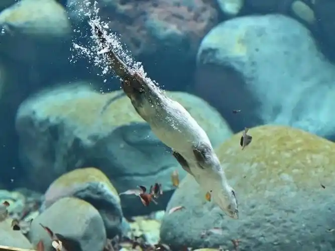 (上篇)|黎明_新浪新闻