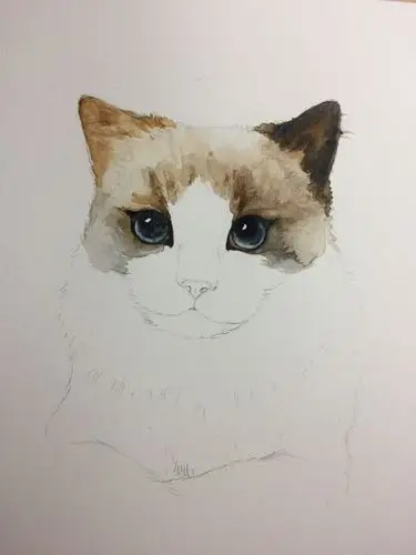 美艳布偶猫水彩画