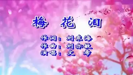 梅花泪-文希(原唱).mkv
