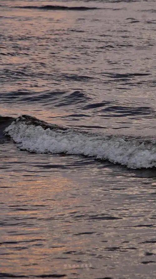 收集波浪海水亮晶晶清爽高山绿地风景水波纹壁纸