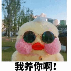 我养你啊!表情包 - 表情图