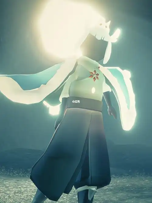 青花瓷  #sky  #sky光遇  #sky白鸟  #18早点睡