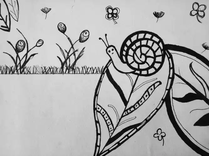 包49中初一美术黑白画随堂微展(15)