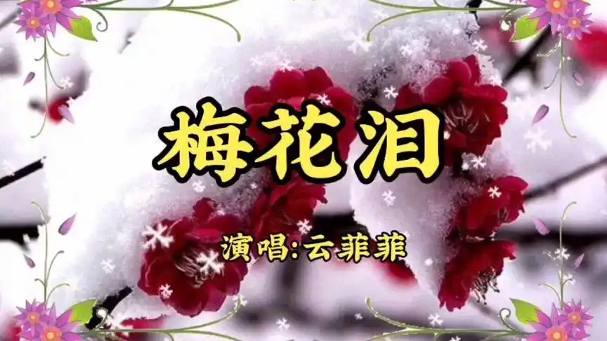 欣赏云菲菲《梅花泪》:谁说梅花没有泪,只是冰雪还未寒透梅花蕊