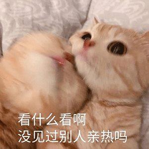 表情包我养你啊妹妹