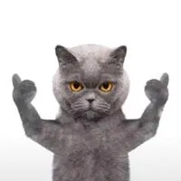 很火的英短蓝猫表情包_微信头像图片大全