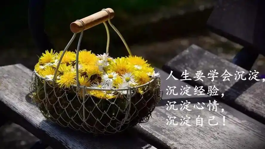 微信很流行的人生感悟经典说说句子,穿透心灵的一段话!