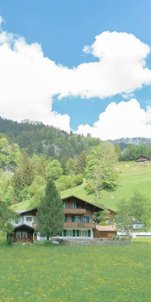 收集波浪海水亮晶晶清爽高山绿地风景水波纹壁纸