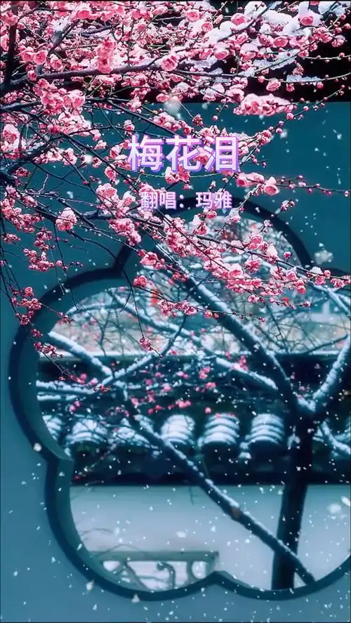 梅花泪  谁言梅花没有泪,冰雪摧残晶莹坠.好听《梅花泪》