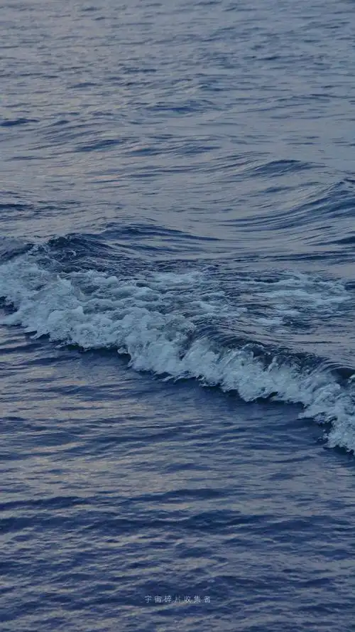 收集波浪海水亮晶晶清爽高山绿地风景水波纹壁纸