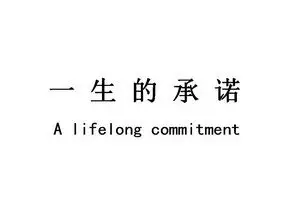 一生的 em>承诺 /em> a lifelong  em>commitment /em>