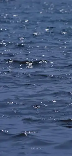 收集波浪海水亮晶晶清爽高山绿地风景水波纹壁纸