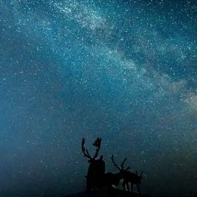 qq星空头像大全