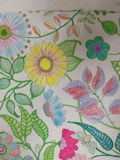 初一美术上色大赛记录 工具闪亮登场 工具篇 绘画过程是什么样的