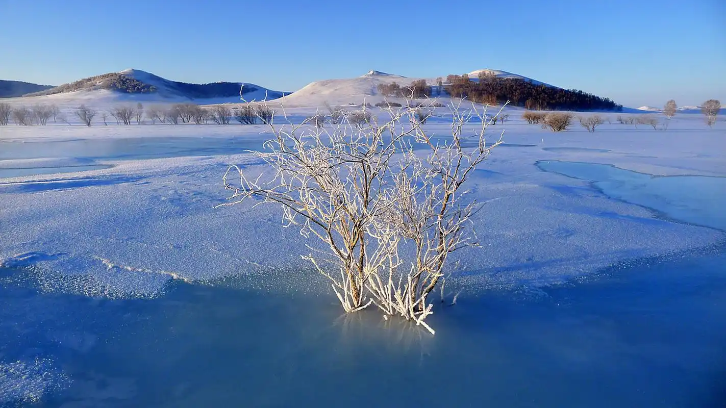 9015 草原雪景美不胜收:喀拉峻大草原位于新疆伊犁河谷,是中国最