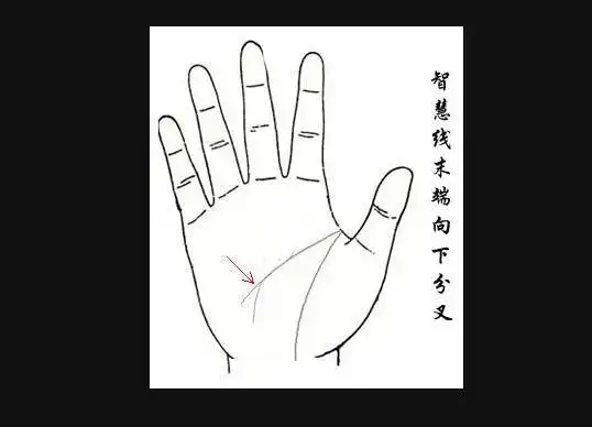 智慧线末端出现分叉的人适合自己创业